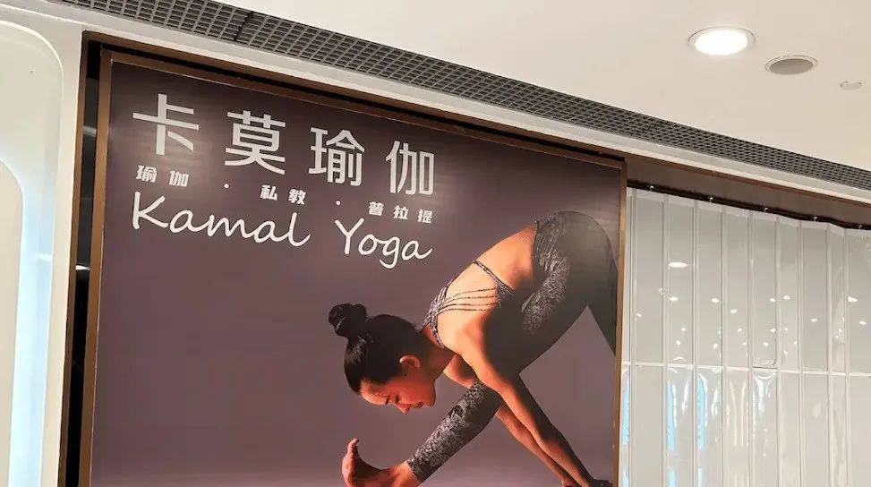 是谁杀死了卡莫瑜伽？-2.jpeg