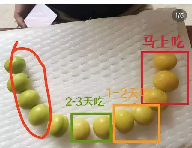 拼多多，藏着水果版中国地图-2.jpg