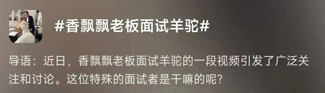 请羊驼直播，香飘飘的创意好抽象-1.jpeg