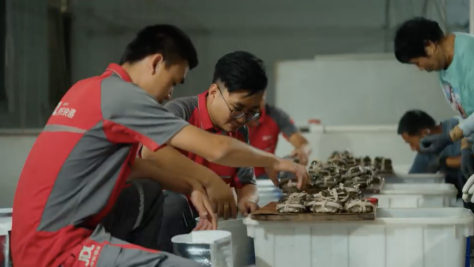 电商价值回归之年，赢家为何是京东？-5.png