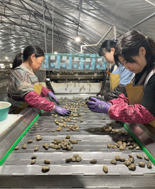 穿越关税波动，拼多多如何用“千亿扶持”重塑中小商家确定性-1.png