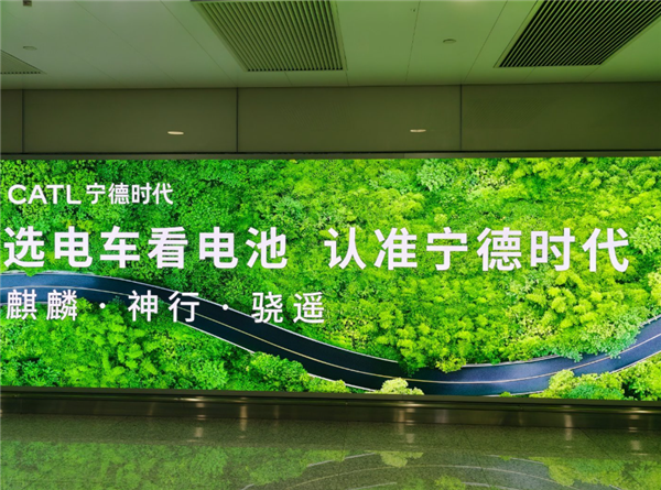 营收大涨股价大跌 宁德时 代你到底咋了?