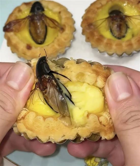 一饭店推出水蟑螂蛋挞!咸甜口感引发大量网友抢购