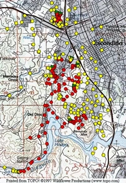 为抢地盘同种蚂蚁无休止争斗数十年:每年战死3000万只!